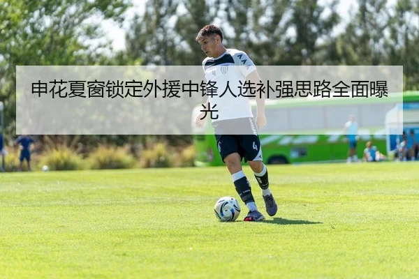 申花夏窗锁定外援中锋人选补强思路全面曝光